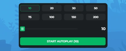 Autoplay Fish Road.